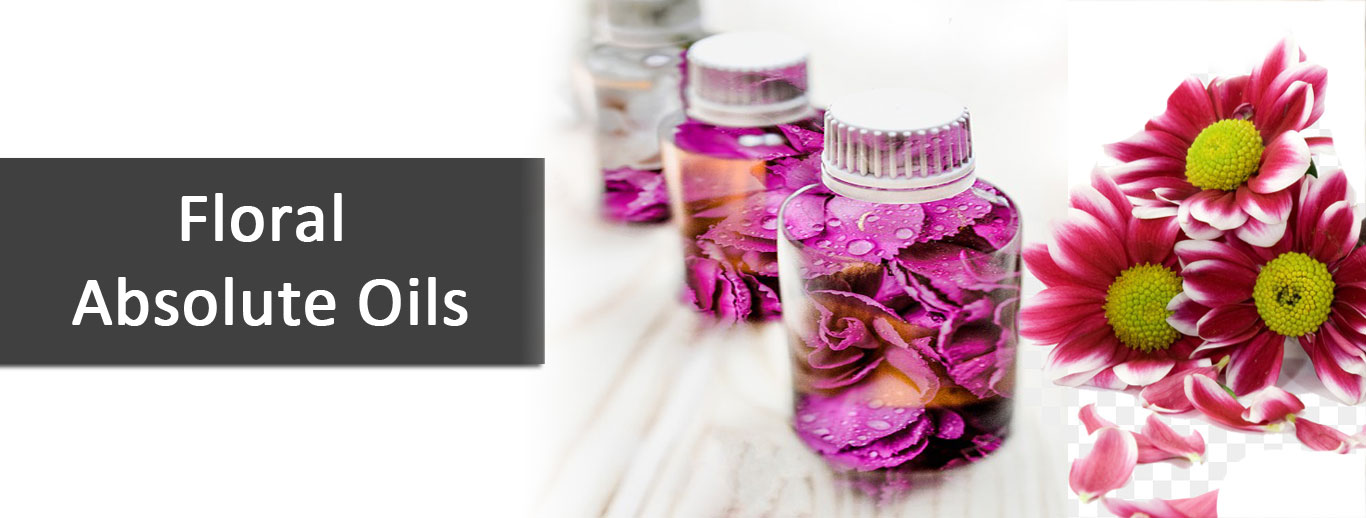 Floral Absolute Oils